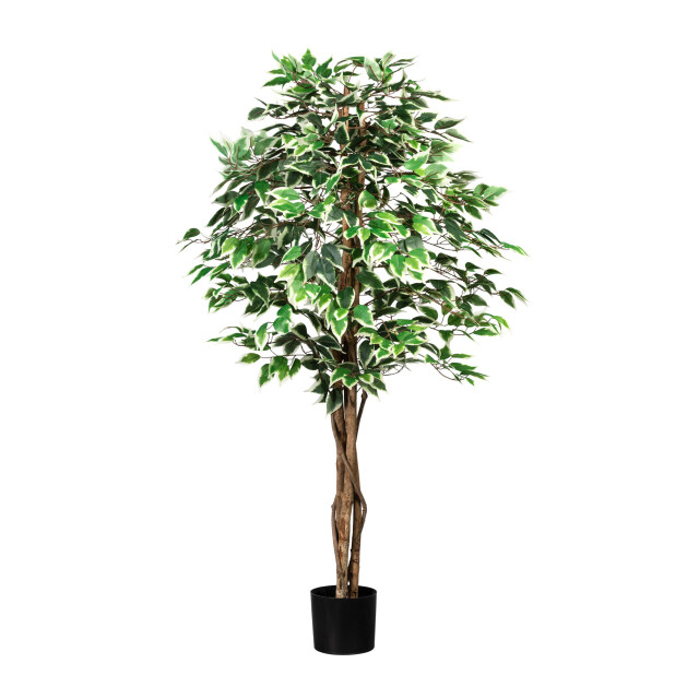 Kopu ® kunstplant ficus 150 cm 840 /witte bladeren natuurstam 2757596 large