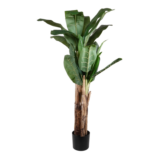 Kopu ® kunstplant bananenplant 150 cm met 21 bladeren nepplant 2612765 large