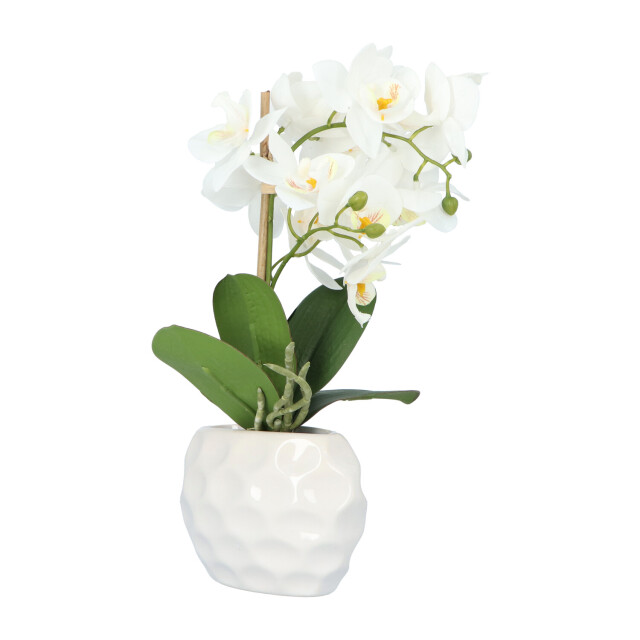 Kopu ® kunstplant orchidee 33 cm in te sierpot 13x9cm - 2612793 large