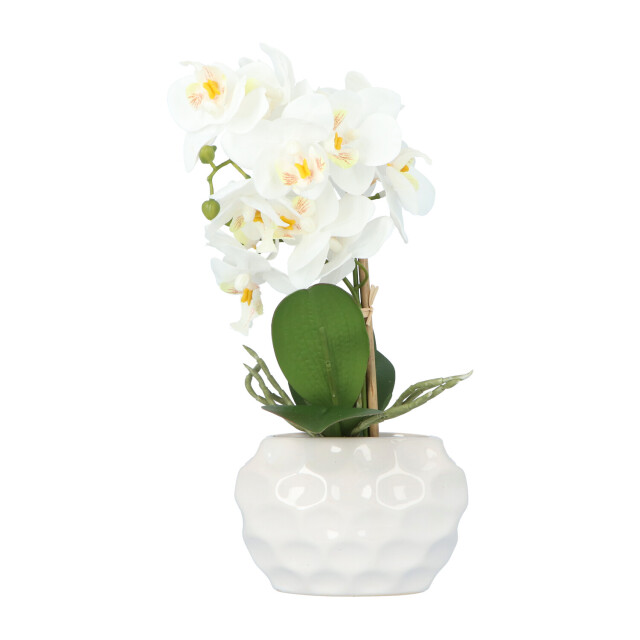 Kopu ® kunstplant orchidee 33 cm in te sierpot 13x9cm - 2612793 large