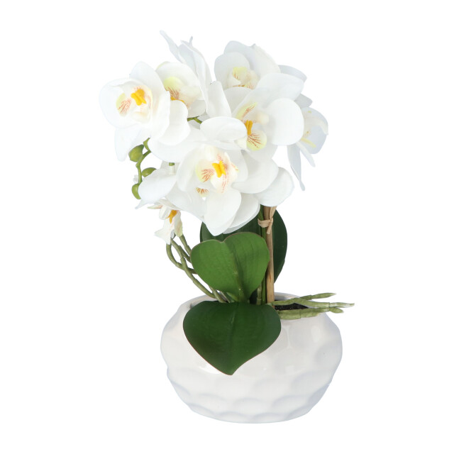 Kopu ® kunstplant orchidee 33 cm in te sierpot 13x9cm - 2612793 large