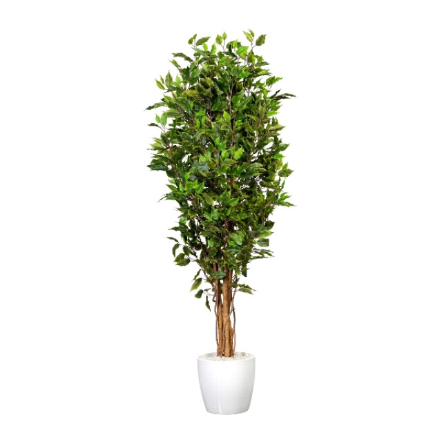 Kopu ® kunstplant ficus smal 150 cm in pot met natuurstam 2759308 large