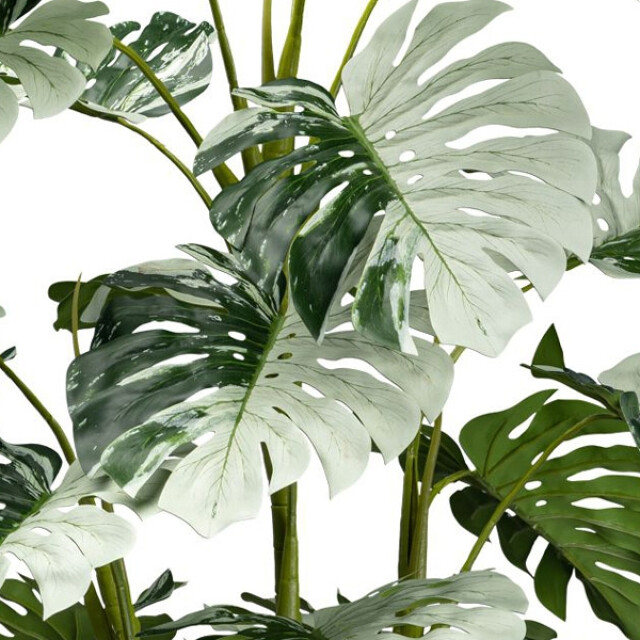 Kopu ® kunstplant monstera variegata half moon 115 cm 16 bladeren 2758706 large