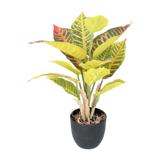 Kopu ® 2 stuks kunstplant croton 35 cm 14 bladeren in zwarte pot 2612755 large