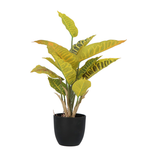 Kopu ® 2 stuks kunstplant croton 35 cm 14 bladeren in zwarte pot 2612755 large
