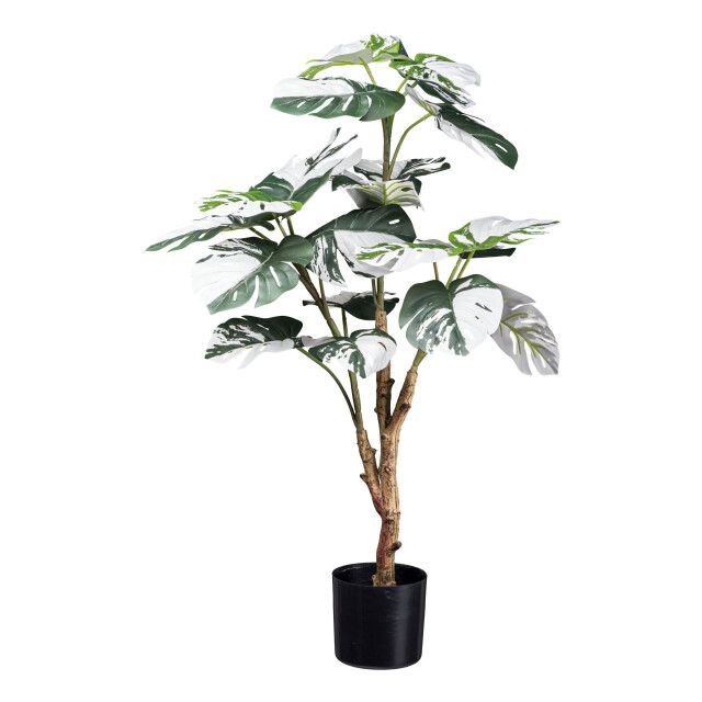 Kopu ® kunstplant monstera variegata 80 cm 21 bladeren gatenplant 2758707 large