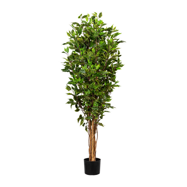 Kopu ® kunstplant ficus smal 150 cm in pot met natuurstam 2759308 large