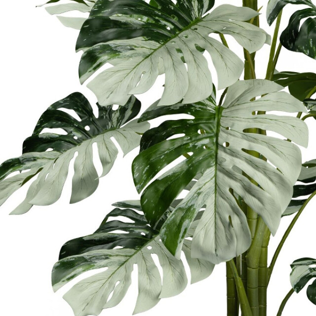 Kopu ® kunstplant monstera variegata half moon 115 cm 16 bladeren 2758706 large