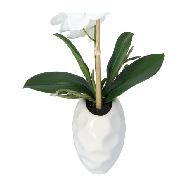Kopu ® kunstplant orchidee 33 cm in te sierpot 13x9cm - 2612793 large