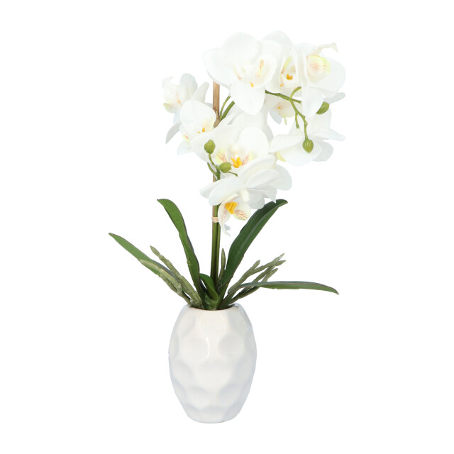 Kopu ® kunstplant orchidee 33 cm in te sierpot 13x9cm - 2612793 large