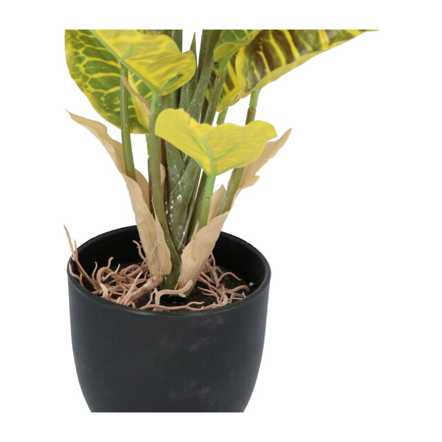 Kopu ® 2 stuks kunstplant croton 35 cm 14 bladeren in zwarte pot 2612755 large