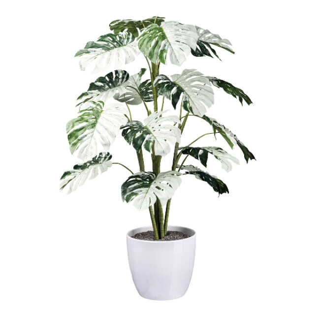 Kopu ® kunstplant monstera variegata half moon 115 cm 16 bladeren 2758706 large
