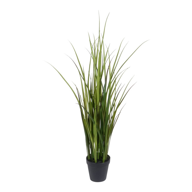 Kopu ® kunstplant grasplant 90 cm in zwarte pot nepplant 2612727 large