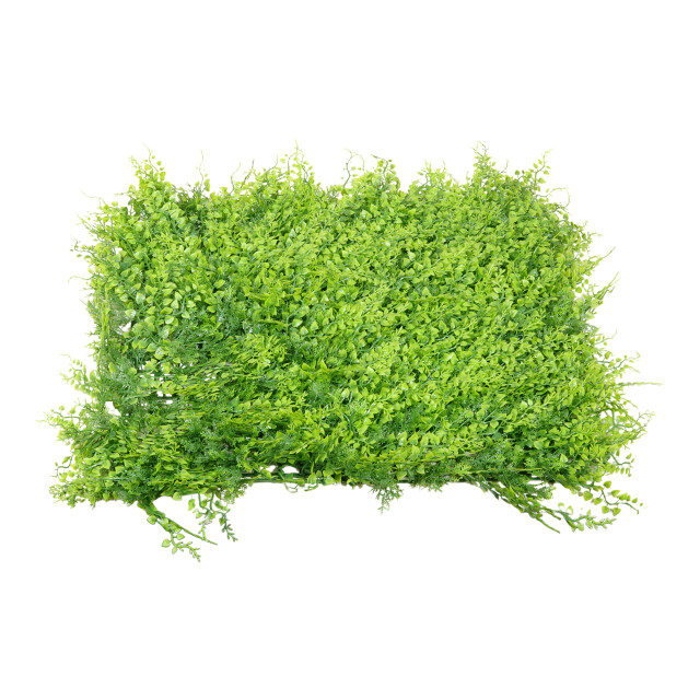 Kopu ® kunstplant uv bestendig wandpaneel planten mat 50x50x7 cm varens 2612767 large