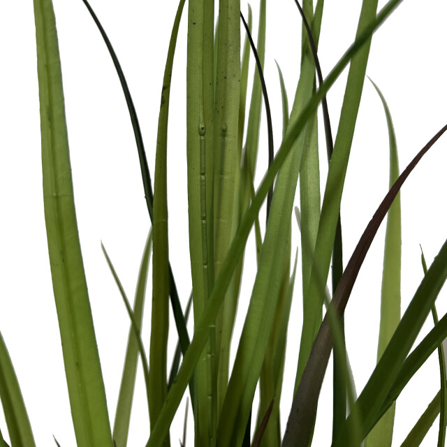 Kopu ® kunstplant grasplant 90 cm in zwarte pot nepplant 2612727 large