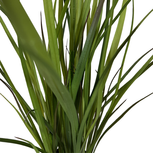 Kopu ® kunstplant grasplant 90 cm in zwarte pot nepplant 2612727 large