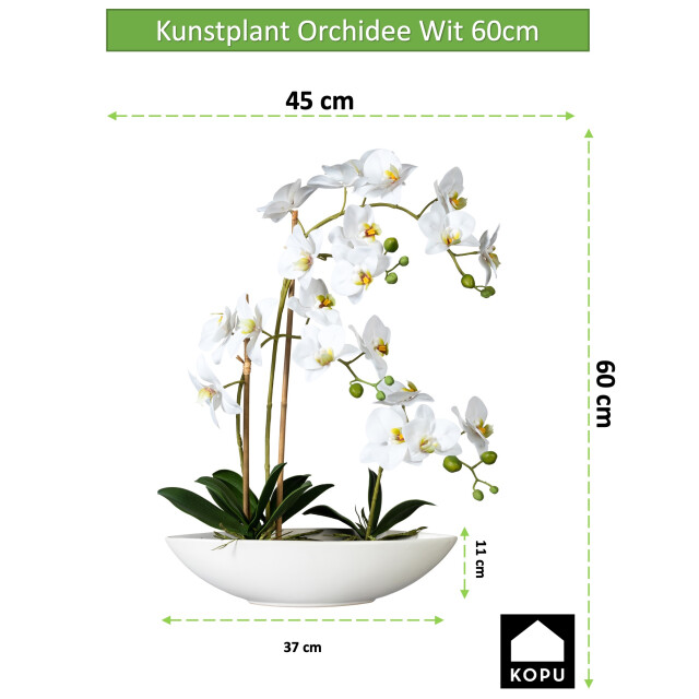 Kopu ® kunstbloem orchidee 60 cm met schaal ovaal phalenopsis 2612708 large