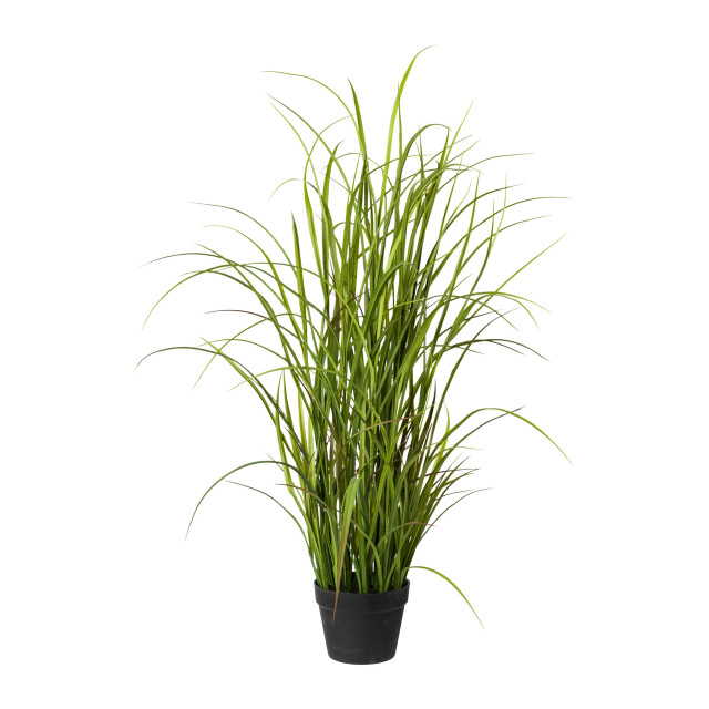 Kopu ® kunstplant grasplant 120 cm in zwarte pot nepplant 2612728 large