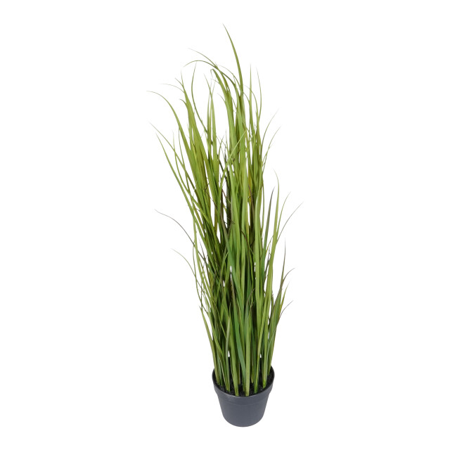 Kopu ® kunstplant grasplant 120 cm in zwarte pot nepplant 2612728 large