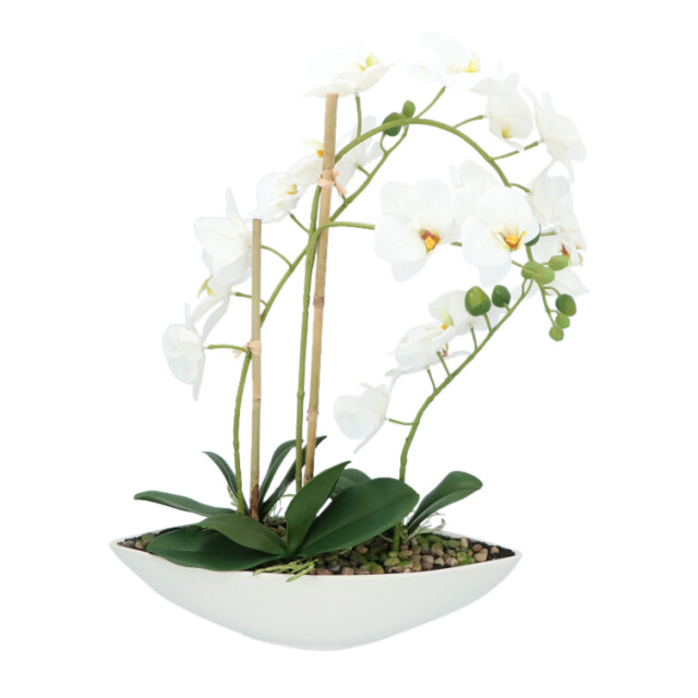 Kopu ® kunstbloem orchidee 60 cm met schaal ovaal phalenopsis 2612708 large