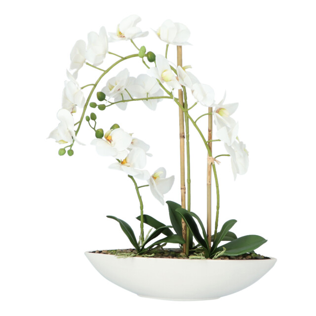 Kopu ® kunstbloem orchidee 60 cm met schaal ovaal phalenopsis 2612708 large