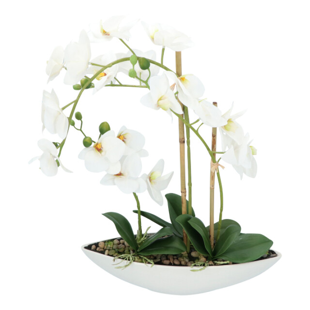 Kopu ® kunstbloem orchidee 60 cm met schaal ovaal phalenopsis 2612708 large