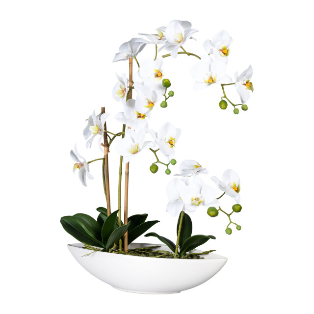 Kopu ® kunstbloem orchidee 60 cm met schaal ovaal phalenopsis 2612708 large