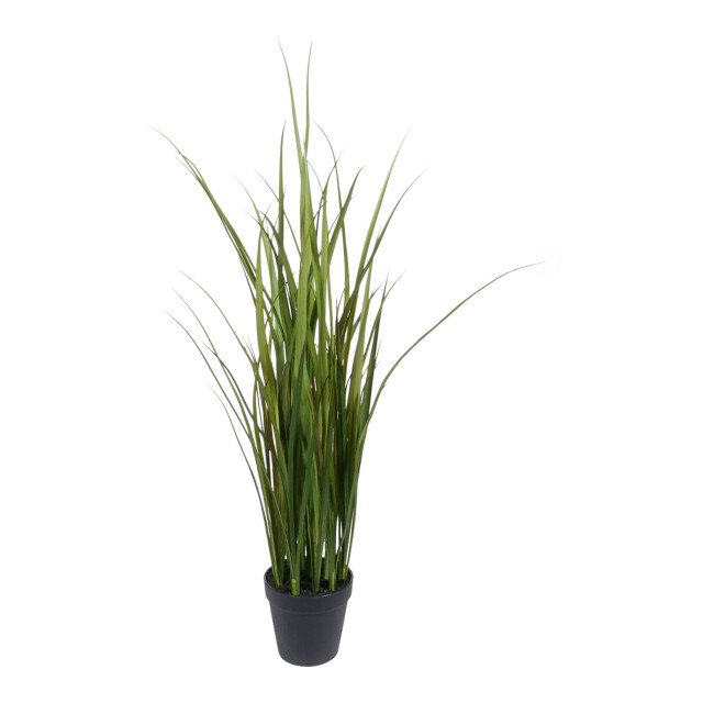 Kopu ® kunstplant grasplant 90 cm in zwarte pot nepplant 2612727 large