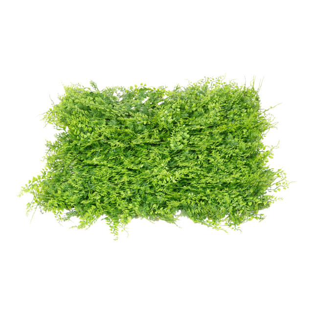 Kopu ® kunstplant uv bestendig wandpaneel planten mat 50x50x7 cm varens 2612767 large