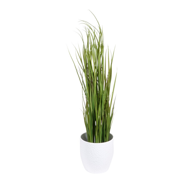 Kopu ® kunstplant grasplant 120 cm in zwarte pot nepplant 2612728 large