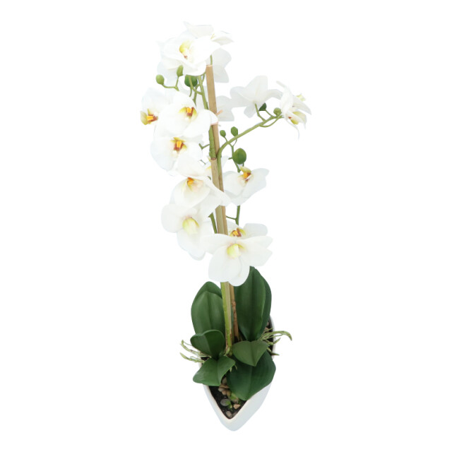 Kopu ® kunstbloem orchidee 60 cm met schaal ovaal phalenopsis 2612708 large