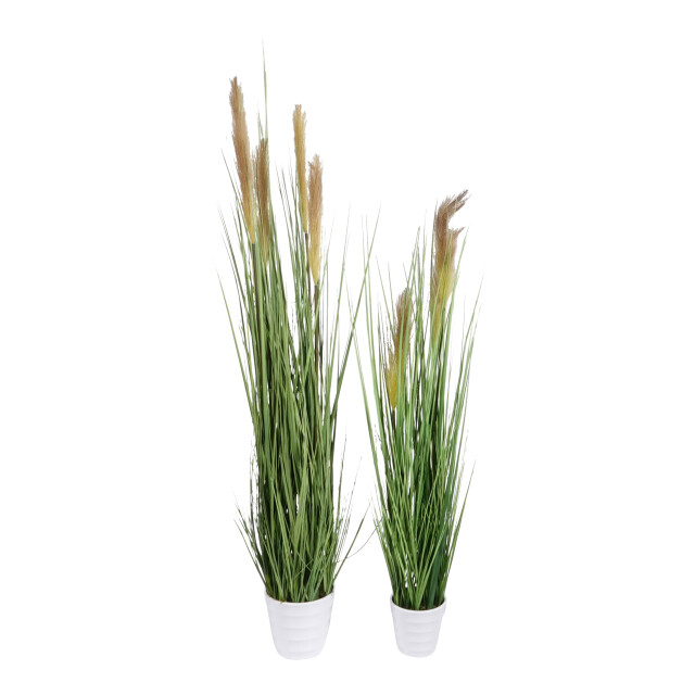 Kopu ® kunstplant pampusgras 95 cm 3 pluimen in witte pot 2612729 large