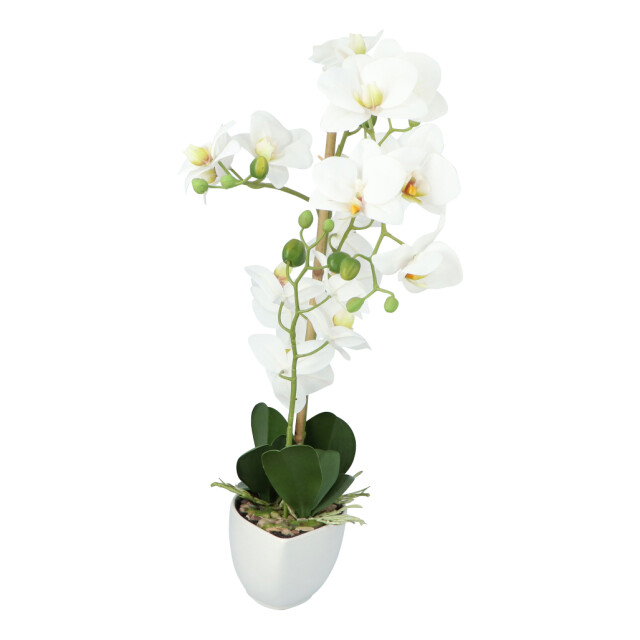Kopu ® kunstbloem orchidee 60 cm met schaal ovaal phalenopsis 2612708 large