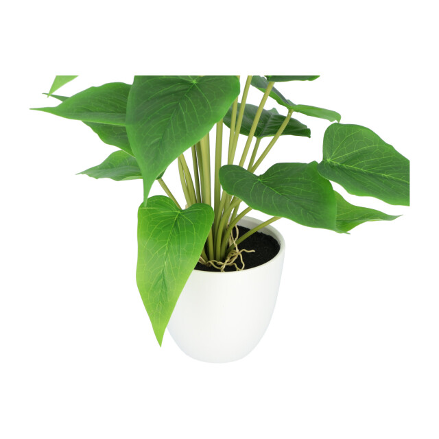 Kopu ® 2 stuks anthurium kunstplant 40 cm flamingoplant 2612788 large