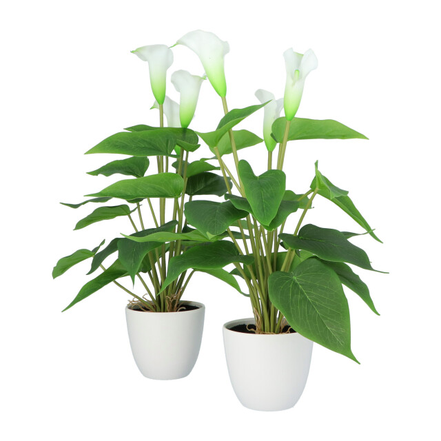 Kopu ® 2 stuks calla kunstplant 44 cm zantedeschia bekerplant 2612789 large