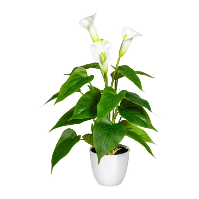 Kopu ® 2 stuks calla kunstplant 44 cm zantedeschia bekerplant 2612789 large