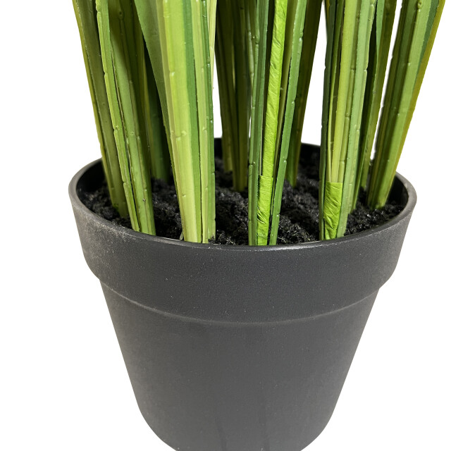 Kopu ® kunstplant grasplant 120 cm in zwarte pot nepplant 2612728 large