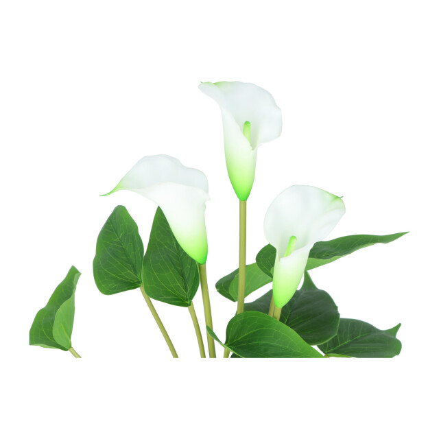 Kopu ® 2 stuks calla kunstplant 44 cm zantedeschia bekerplant 2612789 large