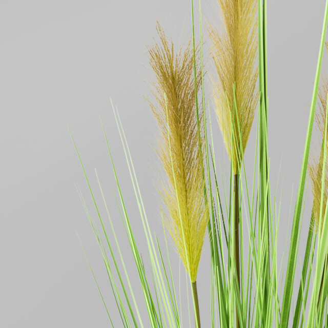 Kopu ® kunstplant pampusgras 110 cm 5 pluimen in witte pot 2612730 large