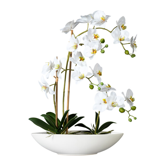 Kopu ® kunstbloem orchidee 60 cm met schaal ovaal phalenopsis 2612708 large