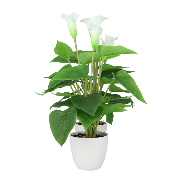 Kopu ® 2 stuks calla kunstplant 44 cm zantedeschia bekerplant 2612789 large