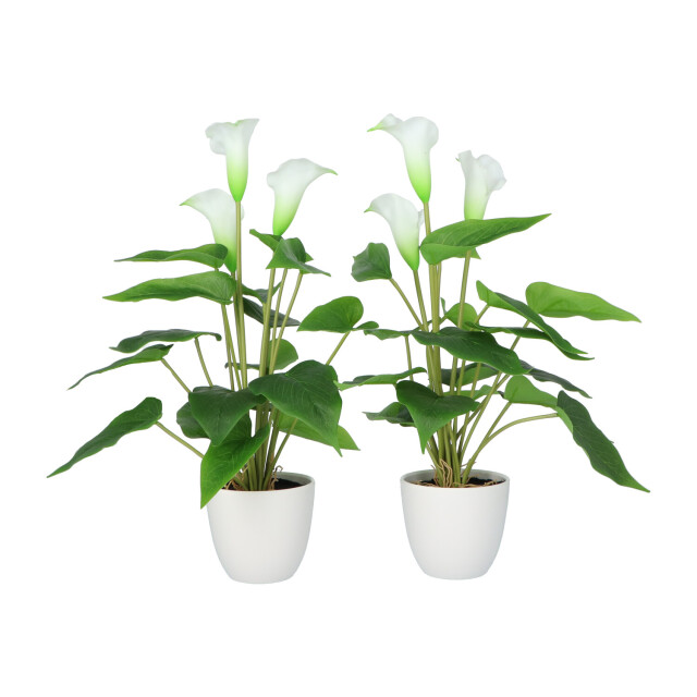 Kopu ® 2 stuks calla kunstplant 44 cm zantedeschia bekerplant 2612789 large