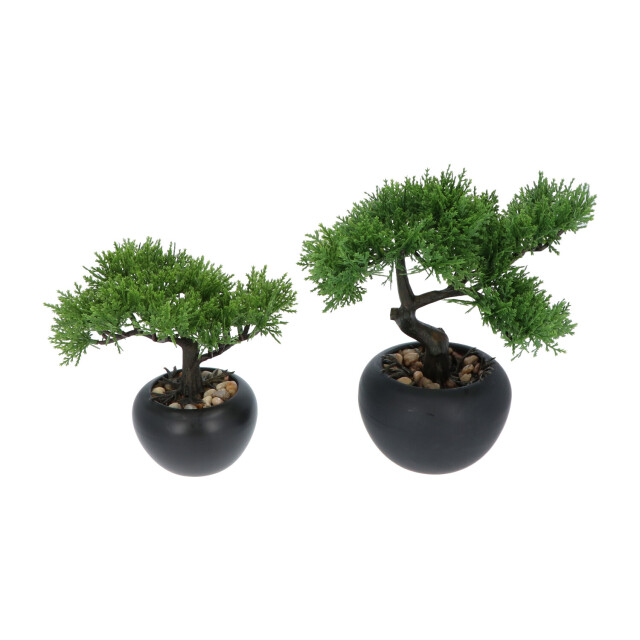 Kopu ® 2 stuks kunstplant bonsai boompje ceder 19 en 25 cm met pot 2612771 large
