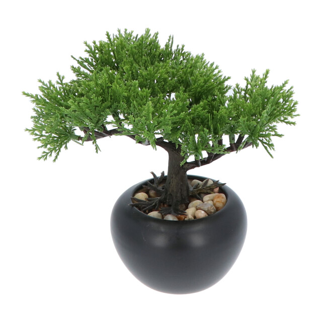 Kopu ® 2 stuks kunstplant bonsai boompje ceder 19 en 25 cm met pot 2612771 large