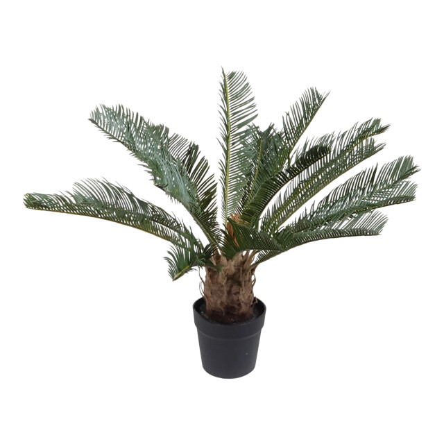 Kopu ® kunstplant cycaspalm 60 cm in zwarte pot 18 varens nepplant 2612750 large