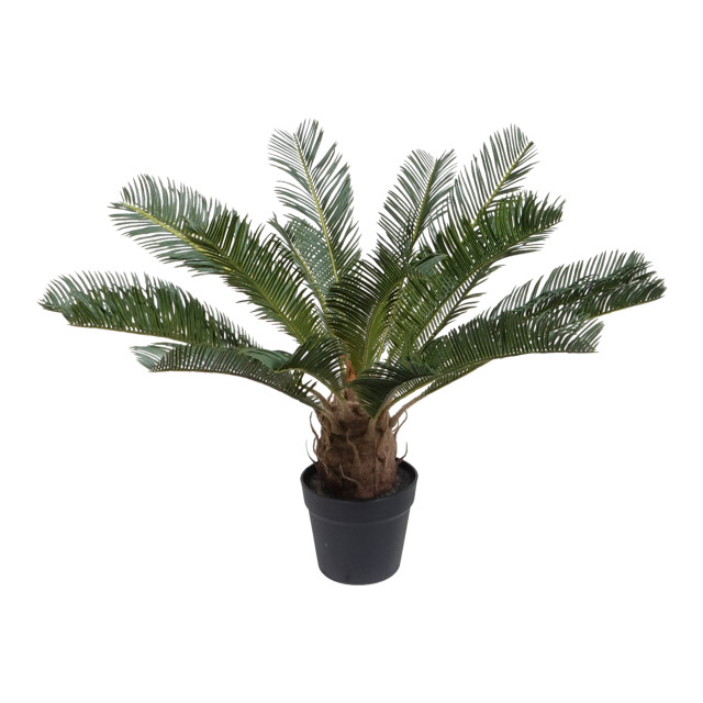 Kopu ® kunstplant cycaspalm 60 cm in zwarte pot 18 varens nepplant 2612750 large