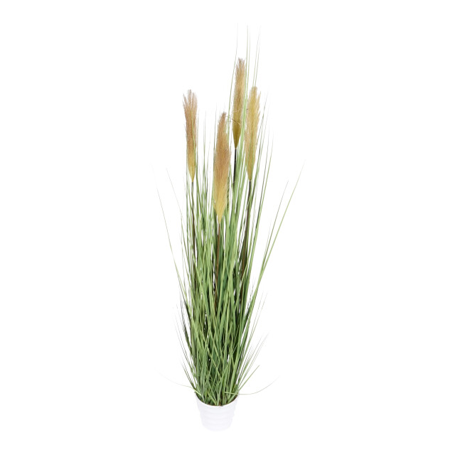 Kopu ® kunstplant pampusgras 110 cm 5 pluimen in witte pot 2612730 large