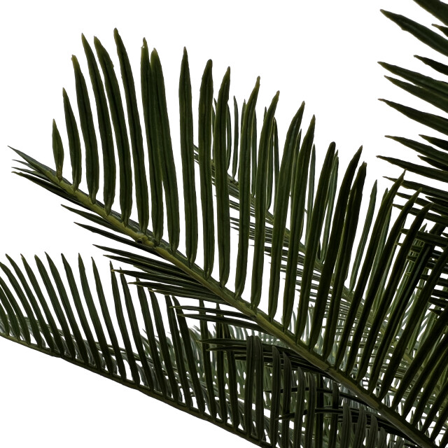 Kopu ® kunstplant cycaspalm 60 cm in zwarte pot 18 varens nepplant 2612750 large