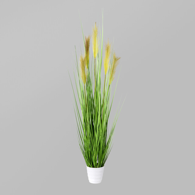 Kopu ® kunstplant pampusgras 110 cm 5 pluimen in witte pot 2612730 large