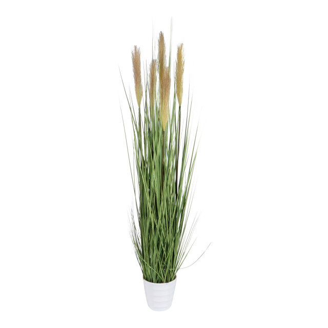 Kopu ® kunstplant pampusgras 110 cm 5 pluimen in witte pot 2612730 large